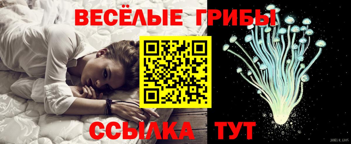 Галлюциногенные грибы прущие грибы  Псилоцибиновые грибы MAGIC MUSHROOMS  Вход с VPN  Мелеуз 